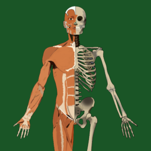 Anatomy and Physiology Module One